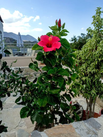 Villa Kastania