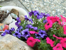 Emerald Hotel Apartments