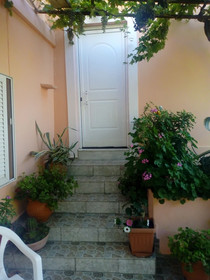 Garden Of Olive Trees