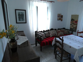 Garden Of Olive Trees