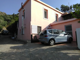 Garden Of Olive Trees