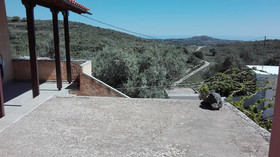 Garden Of Olive Trees