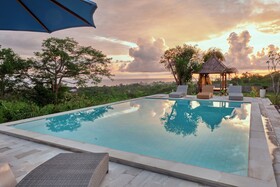 Plumeria Np