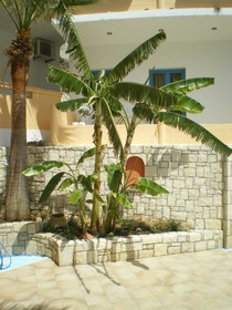 Sunset Boutique Hotel & Spa