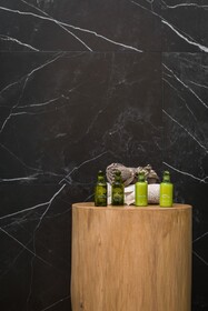 Agave Suites