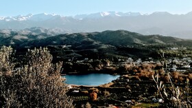 Aksos Suites Accessible Accommodation