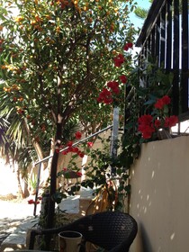 Candia Hotel