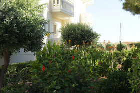 Kedrissos Hotel