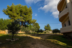 Niki's Dream Comfy Apartments