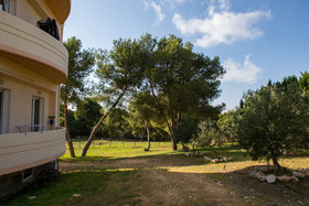 Niki's Dream Comfy Apartments