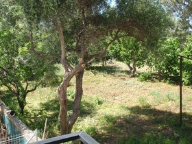 Niriis Hotel