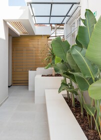 Ostrakon Suites