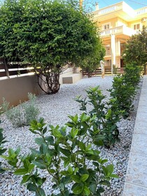 Pantheon Apartments