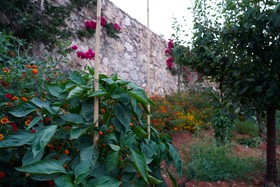 Physis Villas