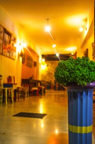 Poco Loco Hotel