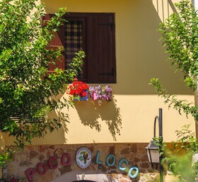 Poco Loco Hotel