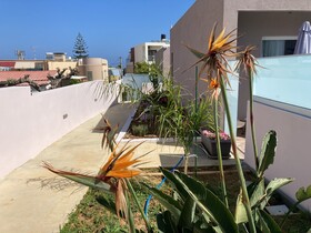 Sarpidon Suites