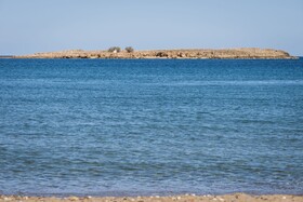 Sea & City Apartments