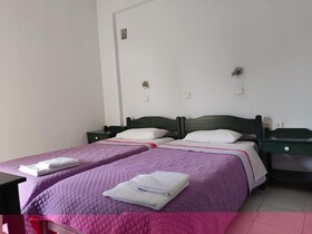 Zinovia