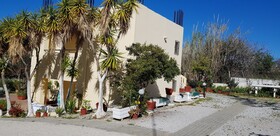 Zinovia