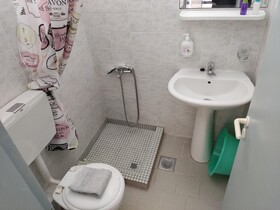 Zinovia