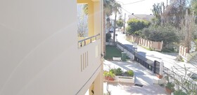 Zinovia