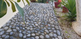 Zinovia