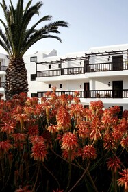 Hersonissos Maris