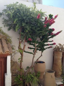 Kostas & Maria Traditional Villa