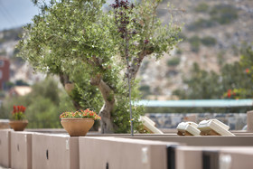 Marni Village