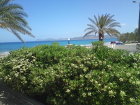 Petra Beach Hotel