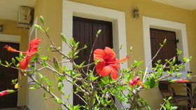 Villa Medusa