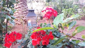 Chrysiida Luxury Suites