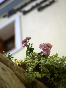 Traditional House Petronikolis