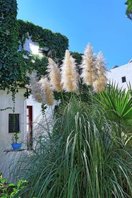 Kalypso Hotel