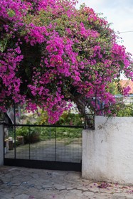 Jasmine Holiday Villa