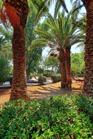 Apollonia Resort & Spa