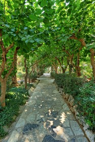 Apollonia Resort & Spa