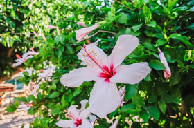 Astrostudio Apartments