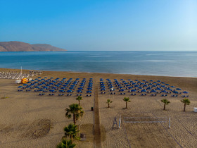 Delfina Tropic Beach