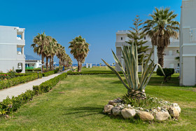 Delfina Tropic Beach