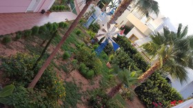 Pallatium Apartments