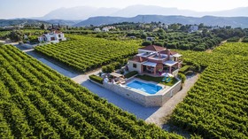 Cretan Vineyard Hill Villa