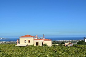 Cretan Vineyard Hill Villa