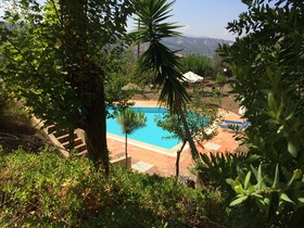 Joanna Palace
