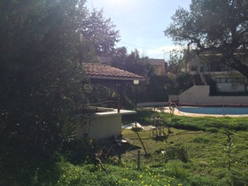 Joanna Palace