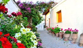 Villa Alagonia