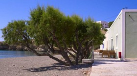 Apothikes seaside private apartments