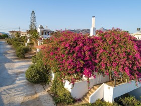 Margarita Apartments