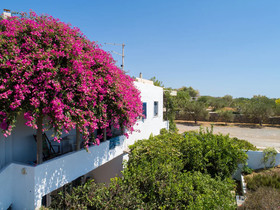 Margarita Apartments